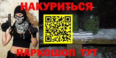 шишки Будённовск
